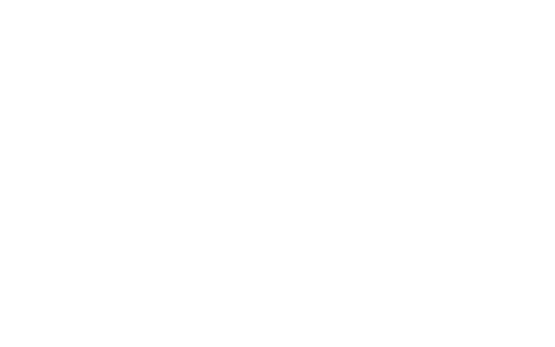 Bassani Engenharia